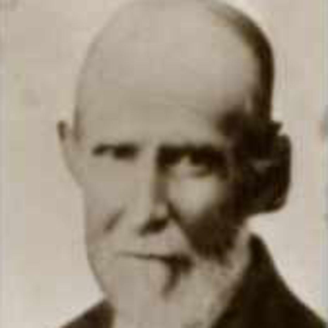 Levi Dougherty (1817 - 1879) Profile